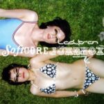 Ladytron, u0022Softcore Jukeboxu0022 (2003)