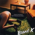 Macrocosm, u0022Introducing... Brand Xu0022