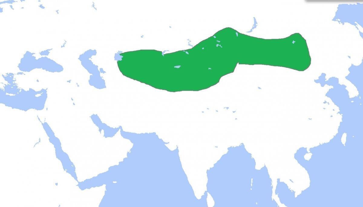 Turkic Khaganate