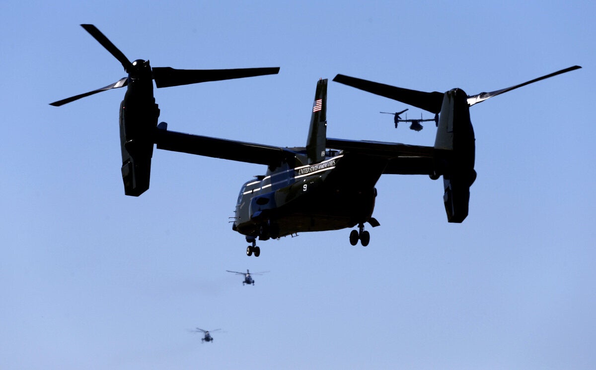 The Osprey