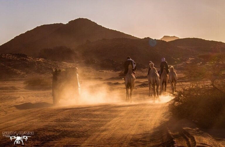 Tamanrasset