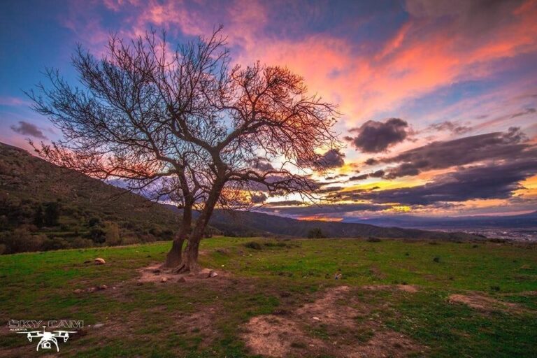 Chréa, Blida Province
