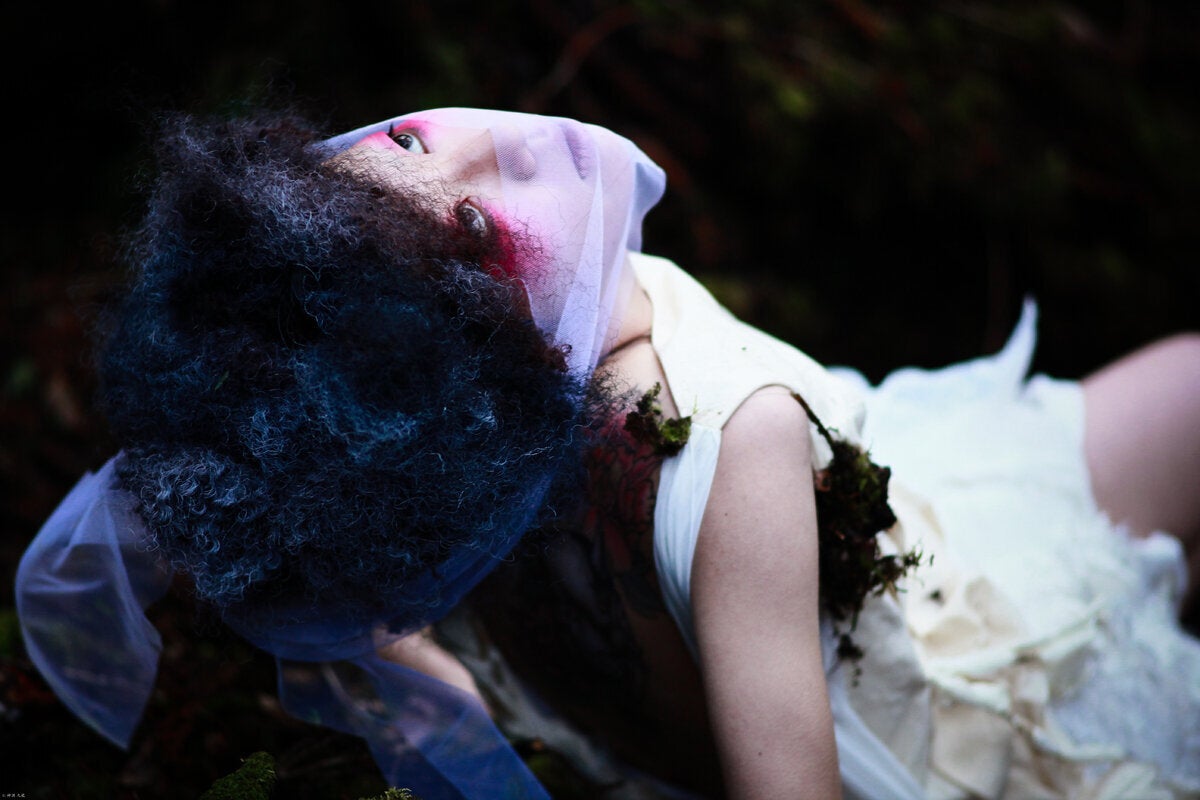 Ιαπωνία:Aokigahara Forest, το δάσος των αυτοκτονιών