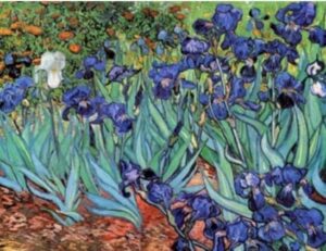 Ίριδες-Βίνσεντ βαν Γκογκ