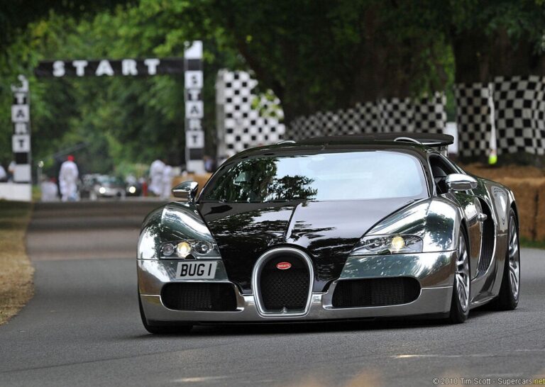 Bugatti Veyron Pur Sang