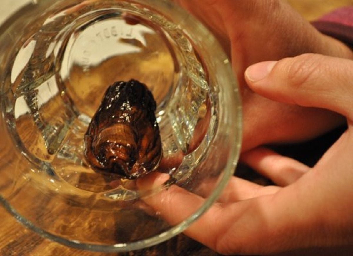 Το Sourtoe Cocktail