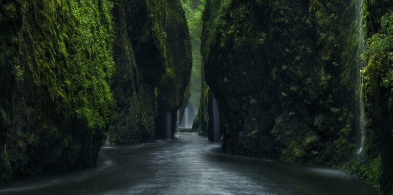 «Οι τοίχοι που κλαίνε»