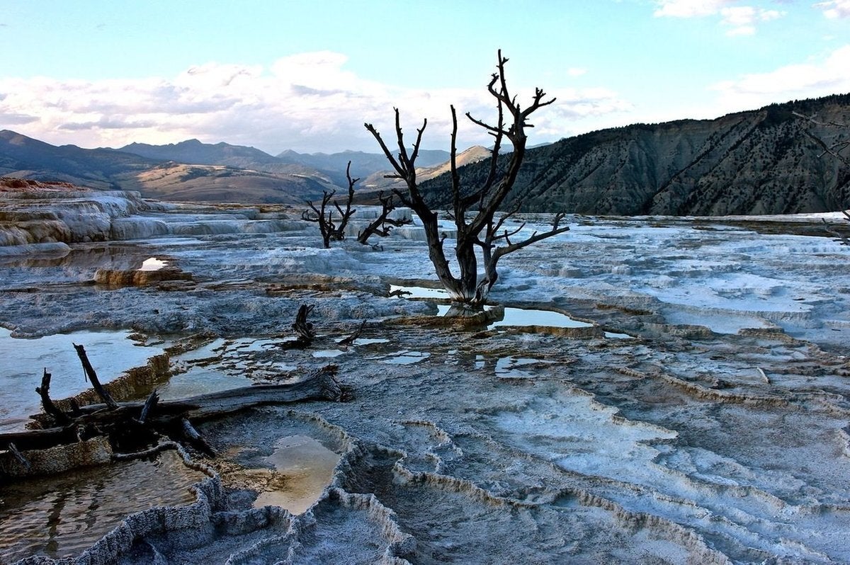 Εθνικό Πάρκο Yellowstone, ΗΠΑ