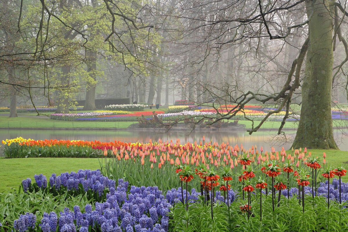 Park Keukenhof (Lisse, Ολλανδία)