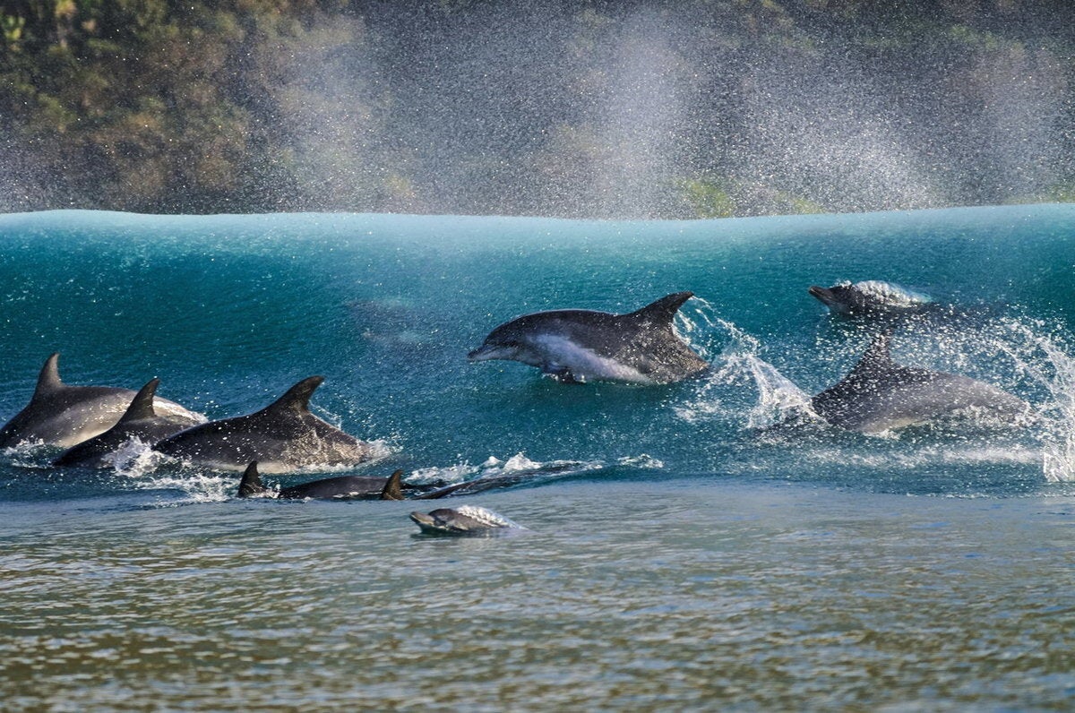 Από πάνω (Πάνω από το νερό αλλά σχετικό με τη θάλασσα) 
