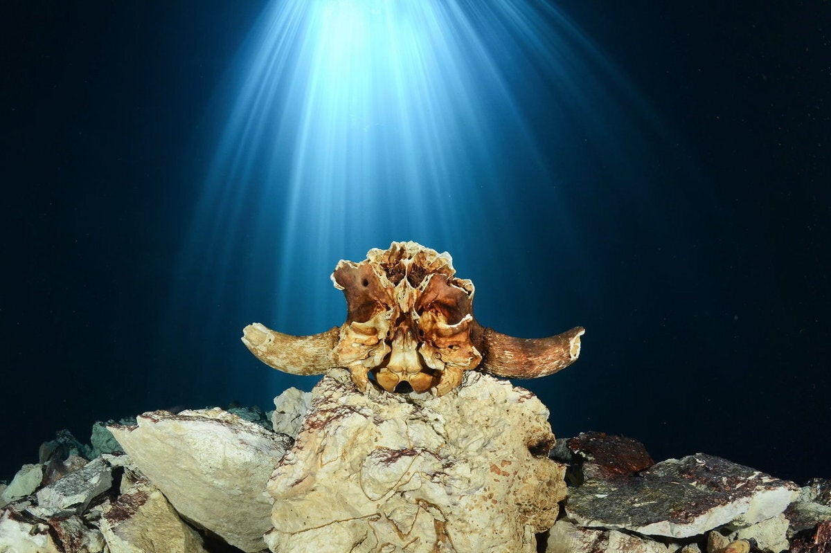 Φρέσκο νερό 