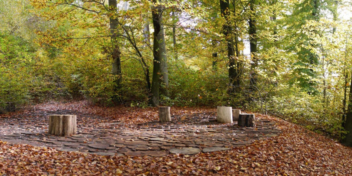 Ξέφωτο στο δάσος Uster (Ελβετία)