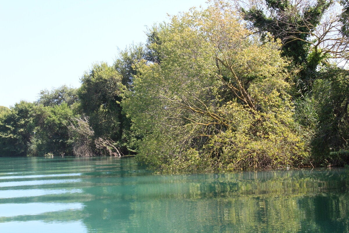 Βαρκάδα στις εκβολές του Αχέροντα