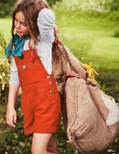 «Ο Υπέροχος κος Φοξ»