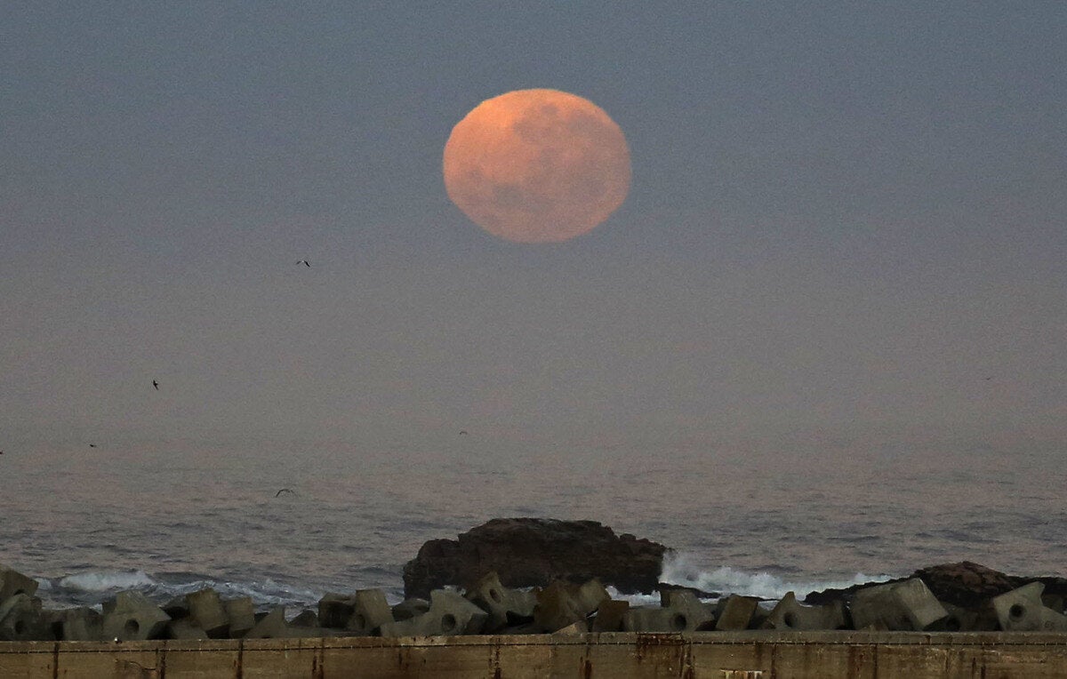 Νότιος Αφρική 