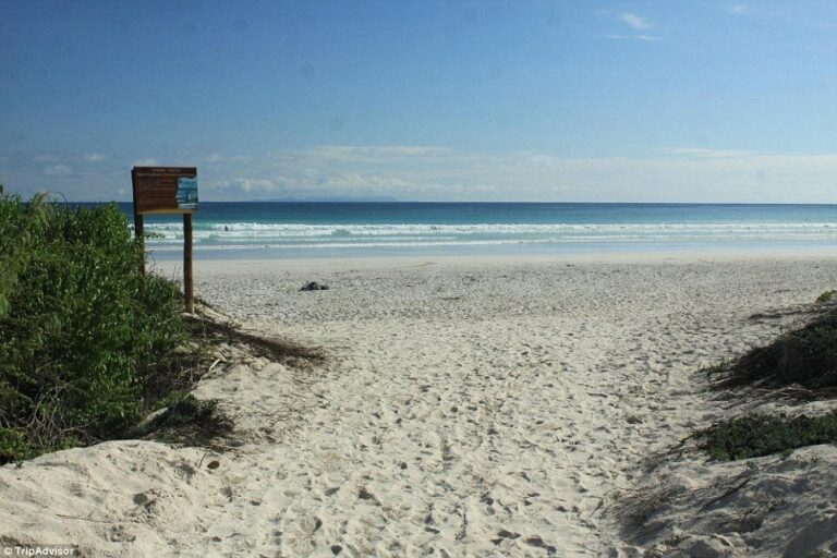 Galapagos Beach at Tortuga Bay, Puerto Ayora, Galapagos Islands