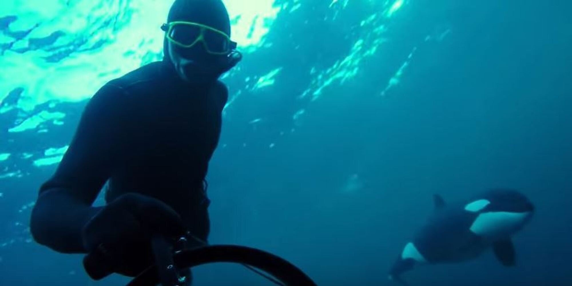 Βίντεο: Μοναδικός «χορός» δύτη με φάλαινες όρκες