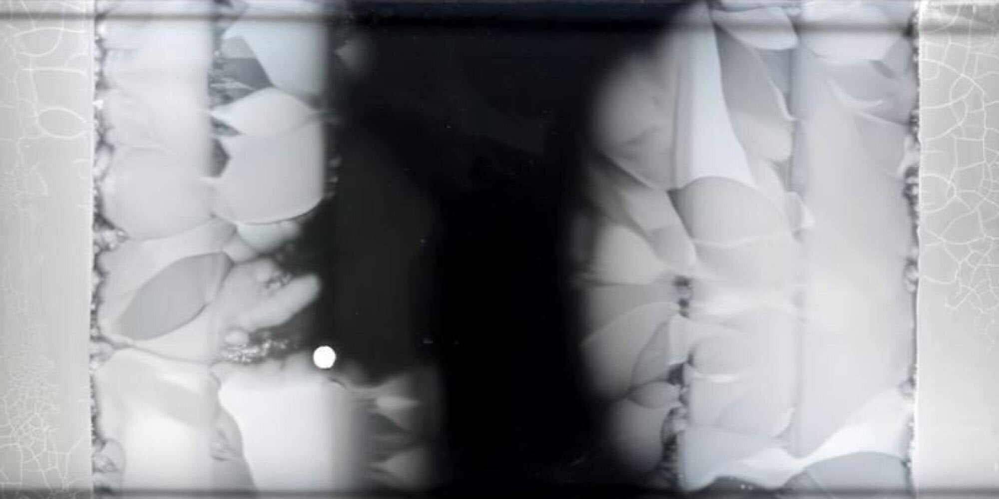 Μια από τις μεγαλύτερες απειλές που αντιμετωπίζει η ανθρωπότητα, σε ένα βίντεο