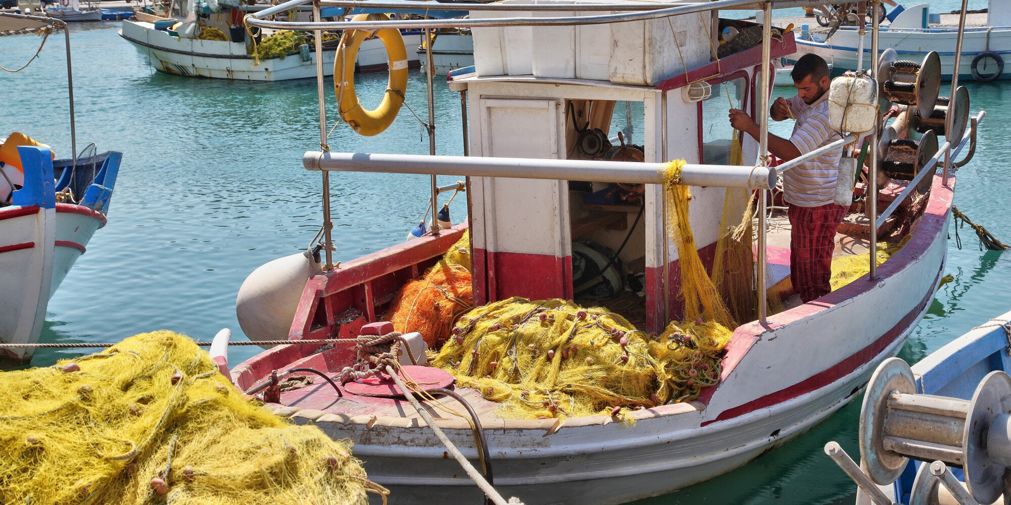 Η Μεσόγειος έχασε το 41% των θαλάσσιων θηλαστικών και των 34% των ψαριών της μέσα στα τελευταία 50 χρόνια