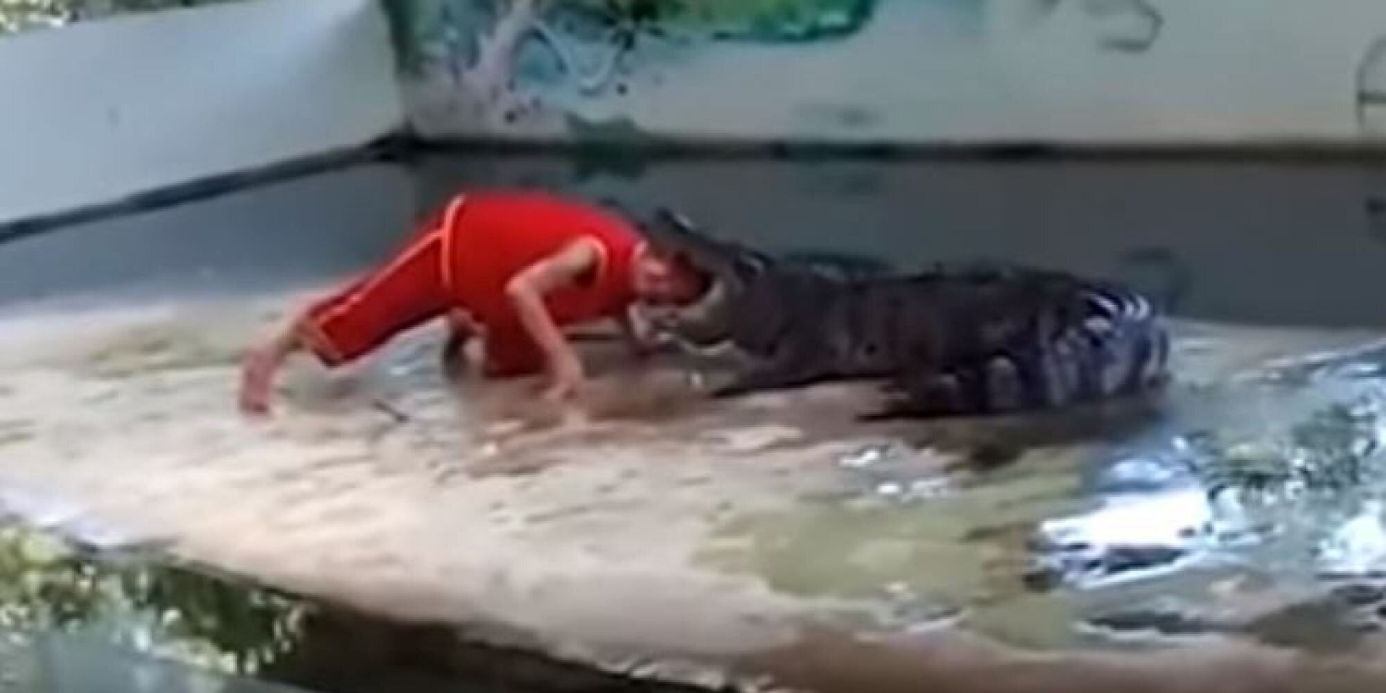 Έβαλε το κεφάλι του μέσα στο στόμα ενός τεράστιου κροκόδειλου και φυσικά το μετάνιωσε