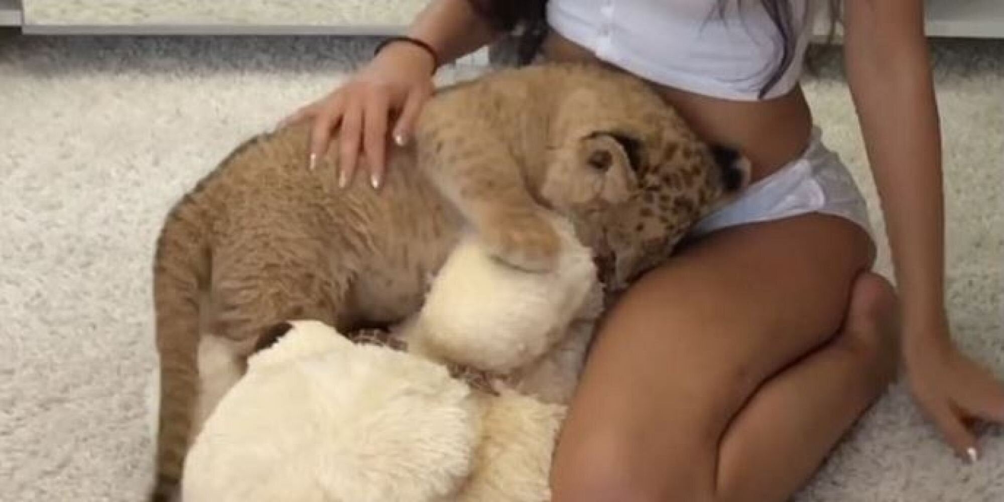 Βίντεο: Πώς αντιδρά (ή φαίνεται να αντιδρά) λιονταράκι όταν σέξι μοντέλο του κάνει…αγάπες