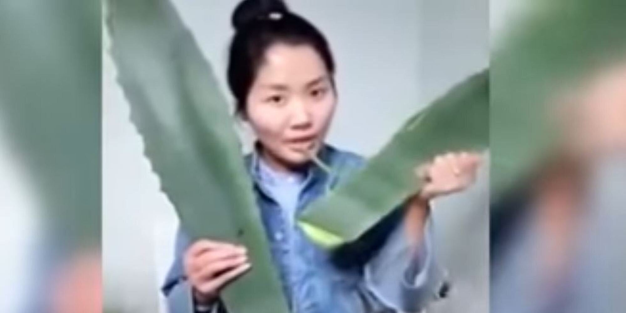 Μπέρδεψε την αλόη βέρα με δηλητηριώδες φυτό και το έφαγε σε ζωντανή μετάδοση