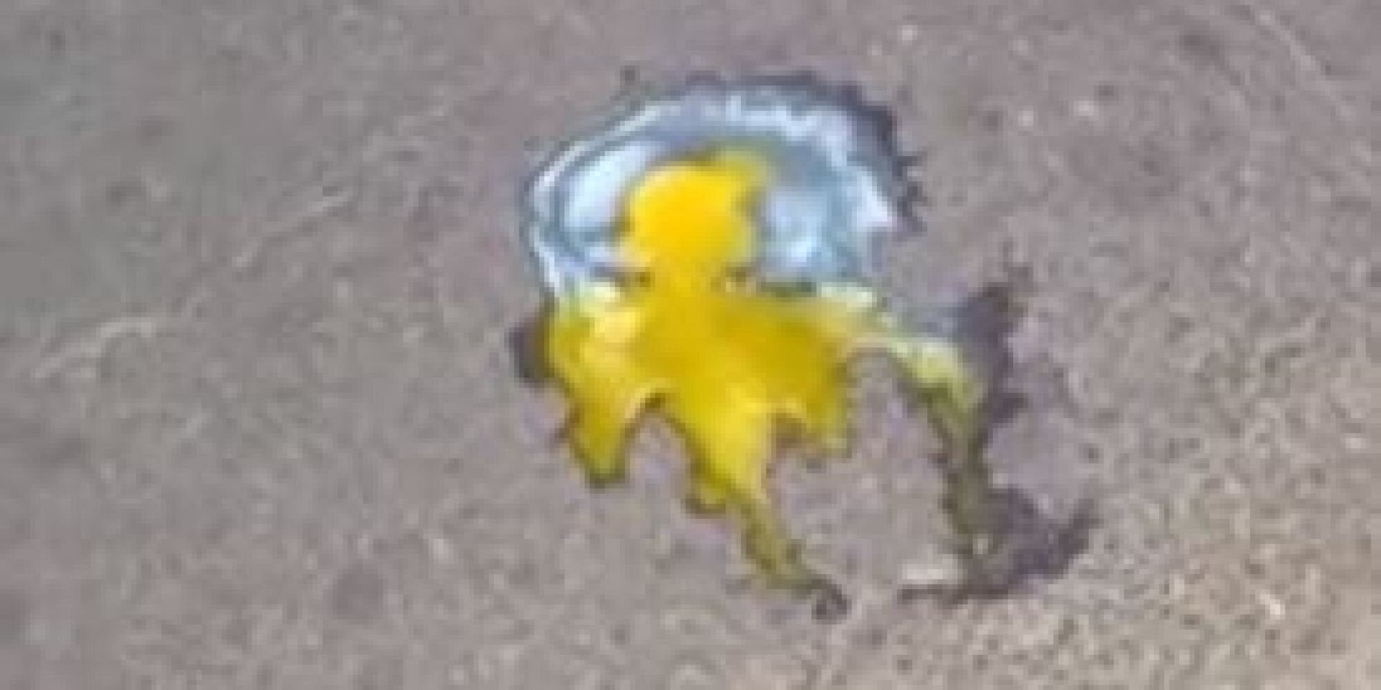 Βίντεο: Ο καύσωνας καλά κρατεί…και στα Χανιά ψήνουν αυγά στην άσφαλτο