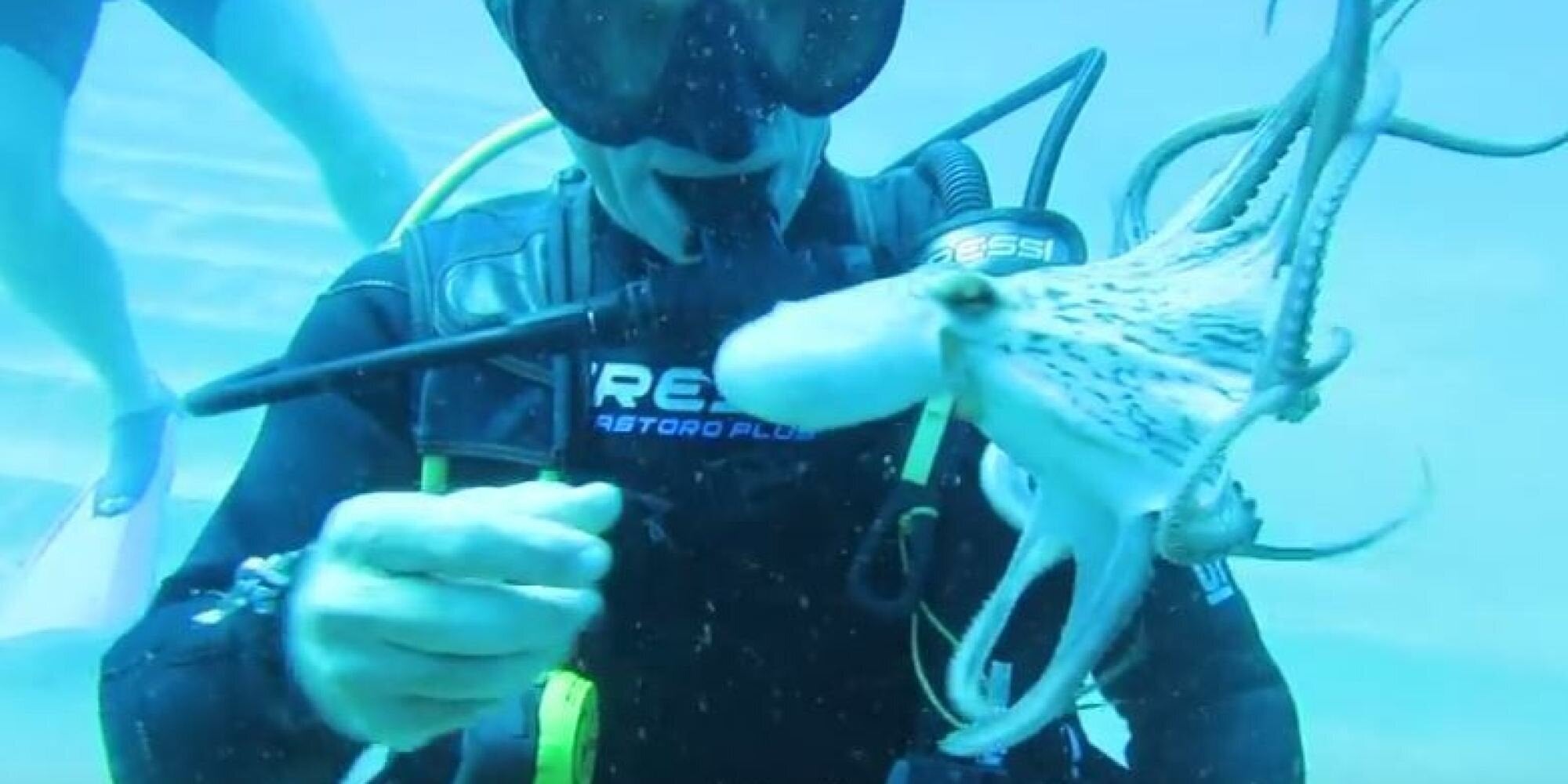 Εάν δεν είστε διακοπές τότε αυτό το βίντεο με τα παιχνίδια ενός χταποδιού θα σας φτιάξει το κέφι