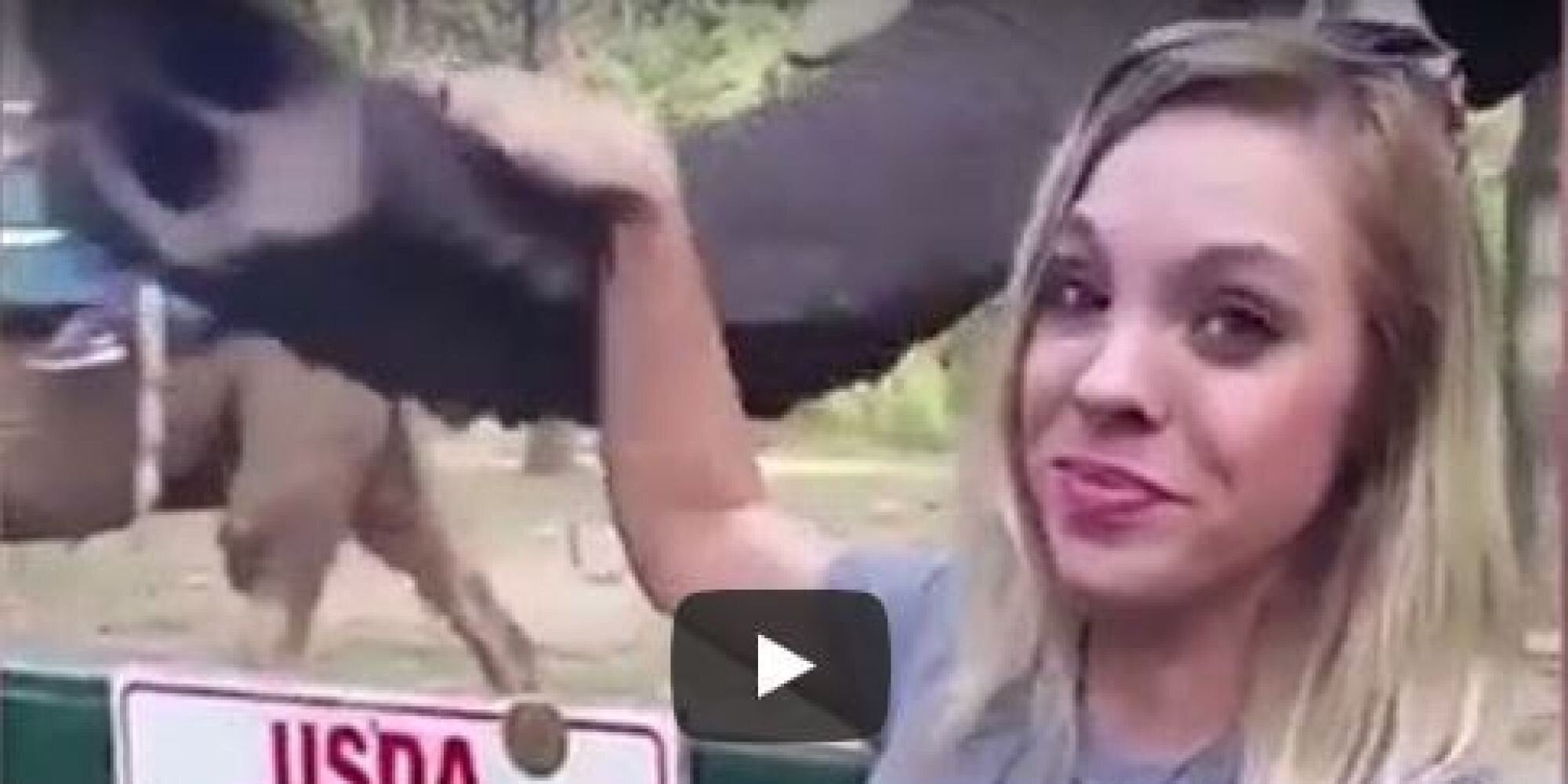 Ήθελε να βγάλει selfie με τον ελέφαντα αλλά εκείνος είχε διαφορετική άποψη