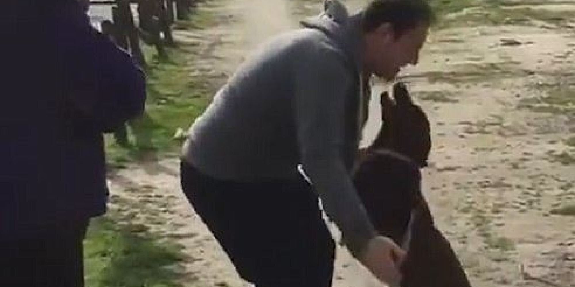 Δεν τον πλησιάζει αλλά όταν καταλαβαίνει ποιος είναι τα χάνει από τη χαρά. Ναι, σκύλος ενώνεται ξανά με τον ιδιοκτήτη του