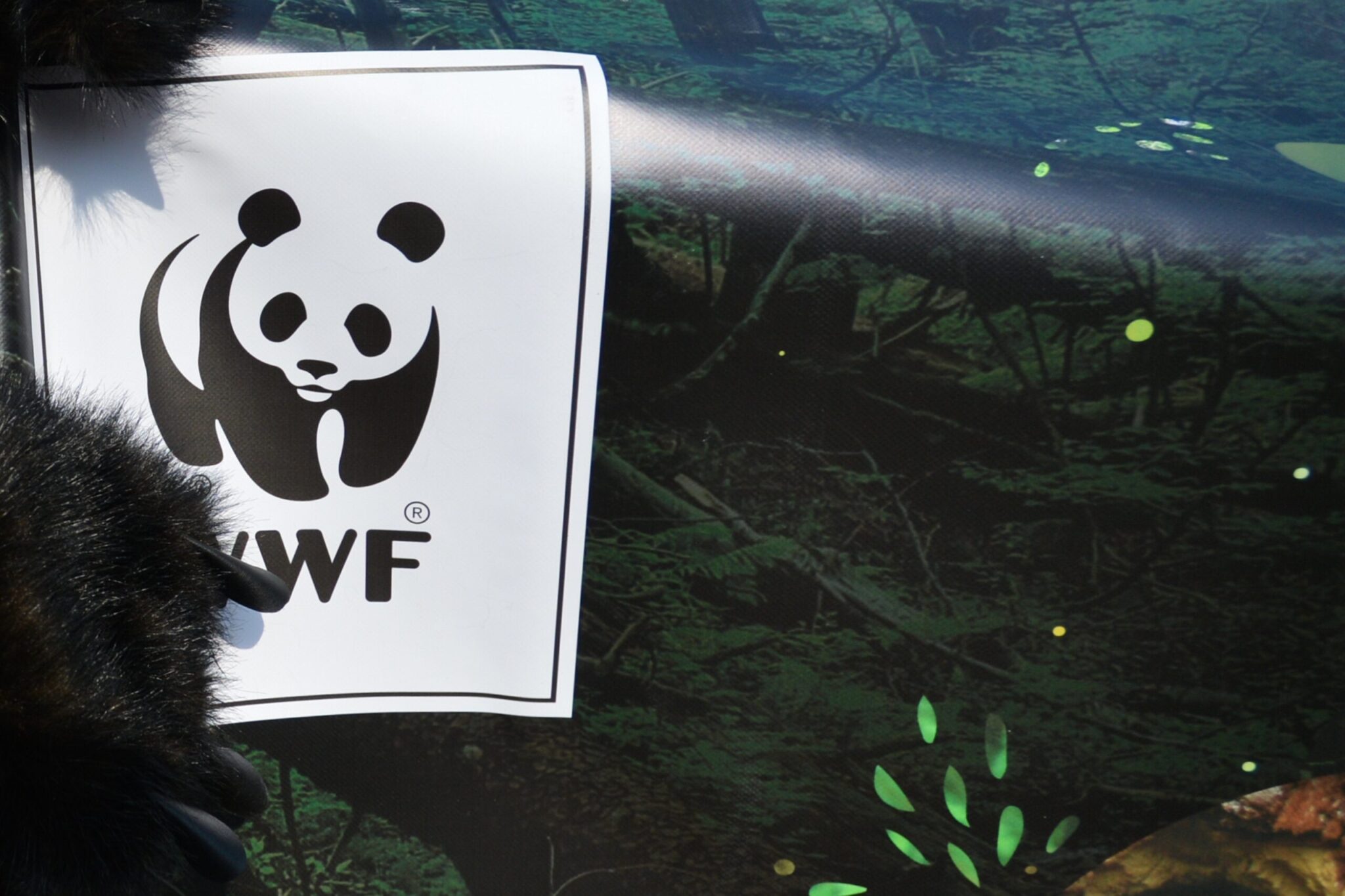 H επιστολή του WWF προς Προωθυπουργό και Ευρ. Επιτροπή για την Εθν. Στρατηγική Ανάπτυξης