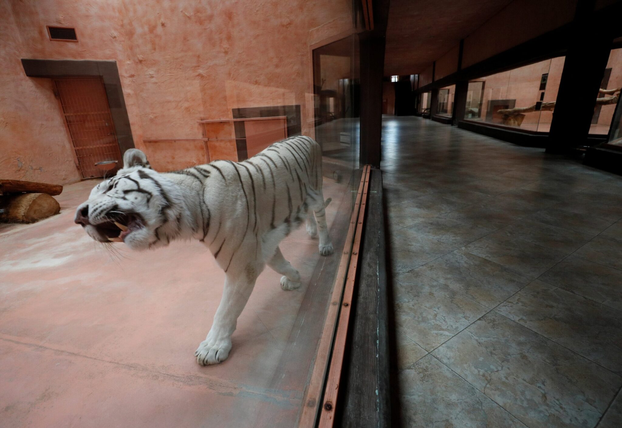 Reuters