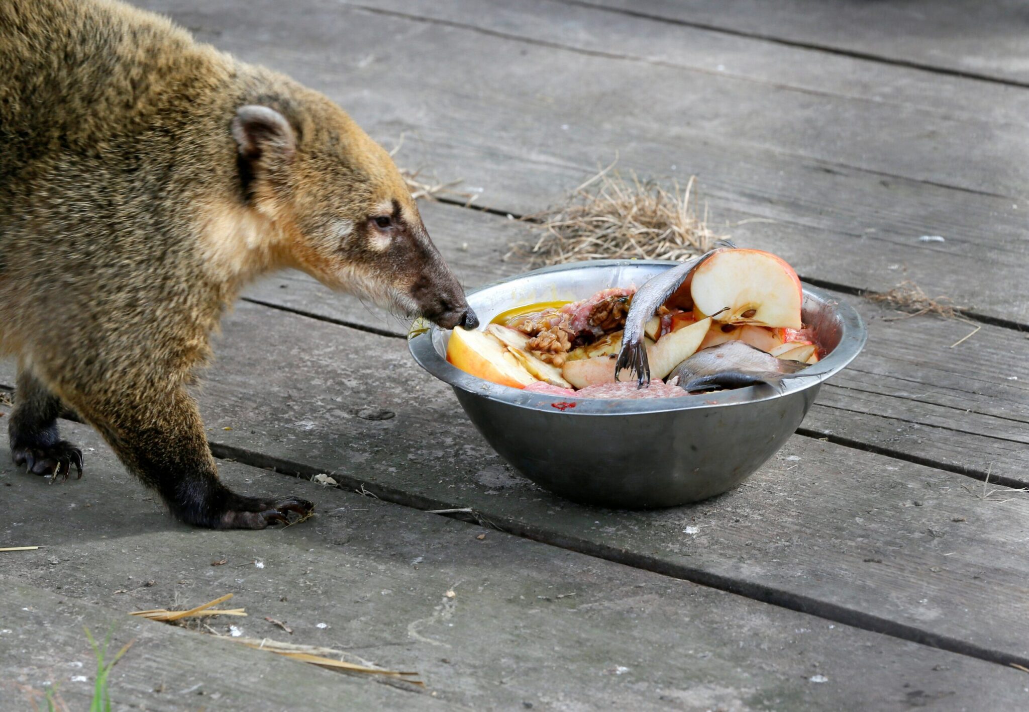 Reuters