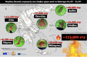 Δασικές πυρκαγιές Ιουλίου 2022: Επηρεάστηκαν πάνω από 130.000 στρέμματα σε ένα μήνα