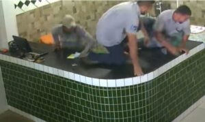 Πίτμπουλ ήθελε να παίξει, αλλά οι εργαζόμενοι έτρεχαν να κρυφτούν