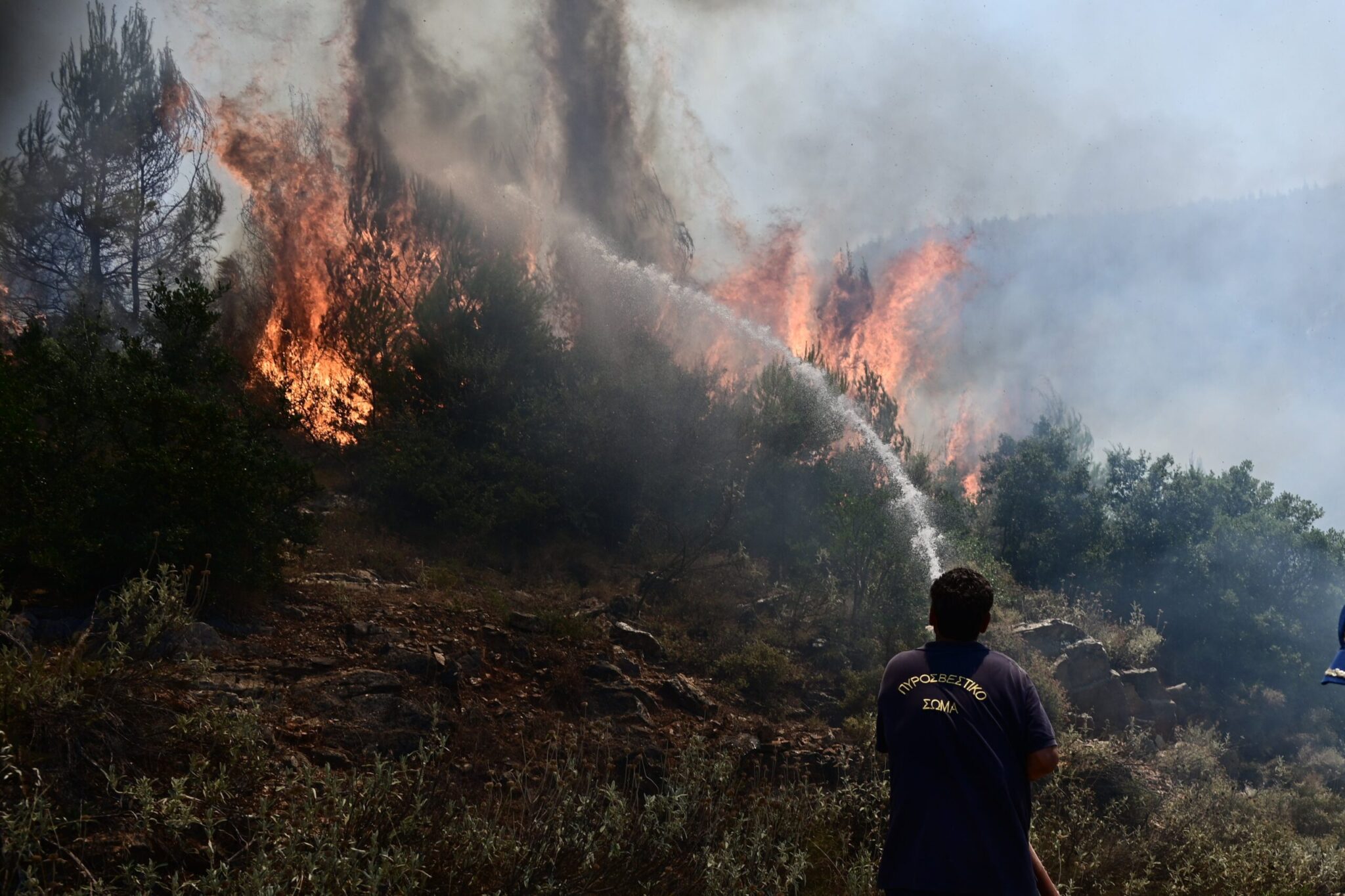 Σύλληψη για εμπρησμό στον Κάλαμο Αττικής