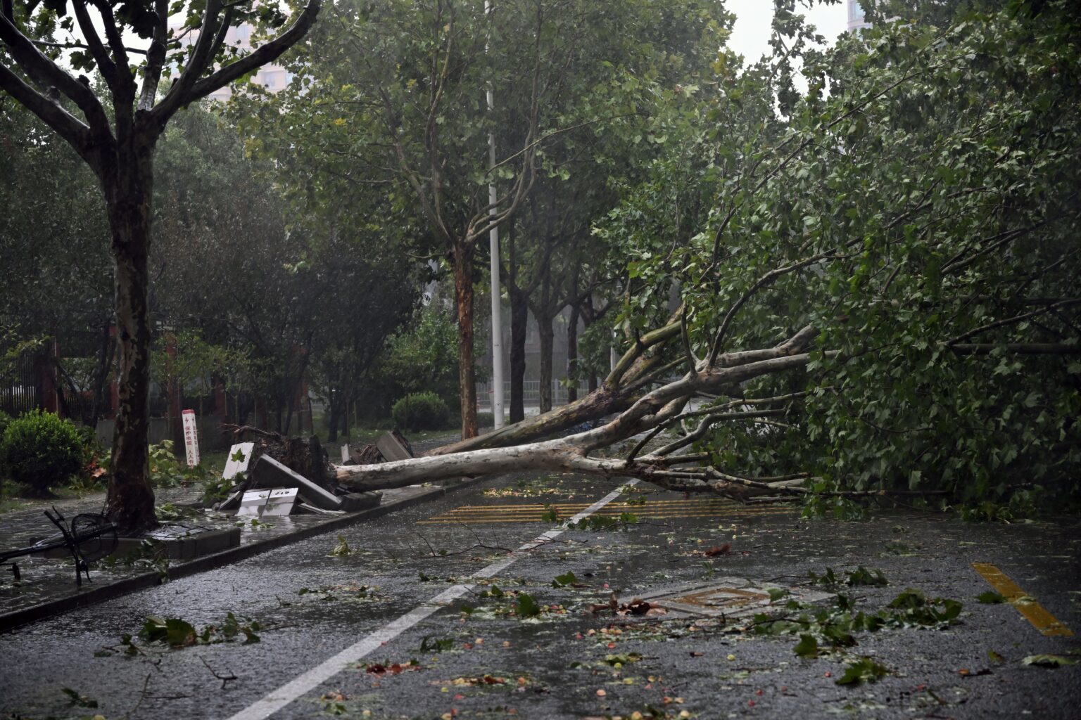 Η Σανγκάη επλήγη από τον ισχυρότερο τυφώνα των τελευταίων 75 ετών
