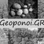 GEOPONOI.GR