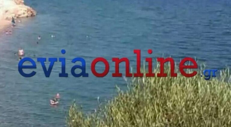 Εύβοια: Αστυνομικός έσωσε μητέρα και παιδί που παρασύρθηκαν από τους ανέμους πάνω σε στρώμα θαλάσσης