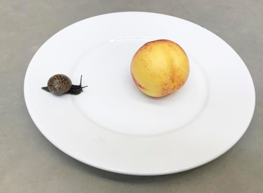 Ο εμβληματικός φωτογράφος Juergen Teller έρχεται Αθήνα για μια αναδρομική παρουσίαση