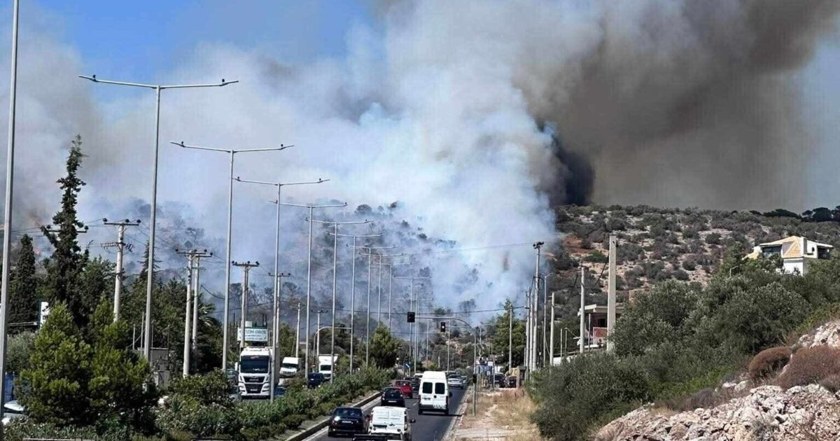 Facebook/Πυροπροστασια Δασων Λαυρεωτικης