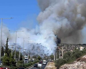 Facebook/Πυροπροστασια Δασων Λαυρεωτικης