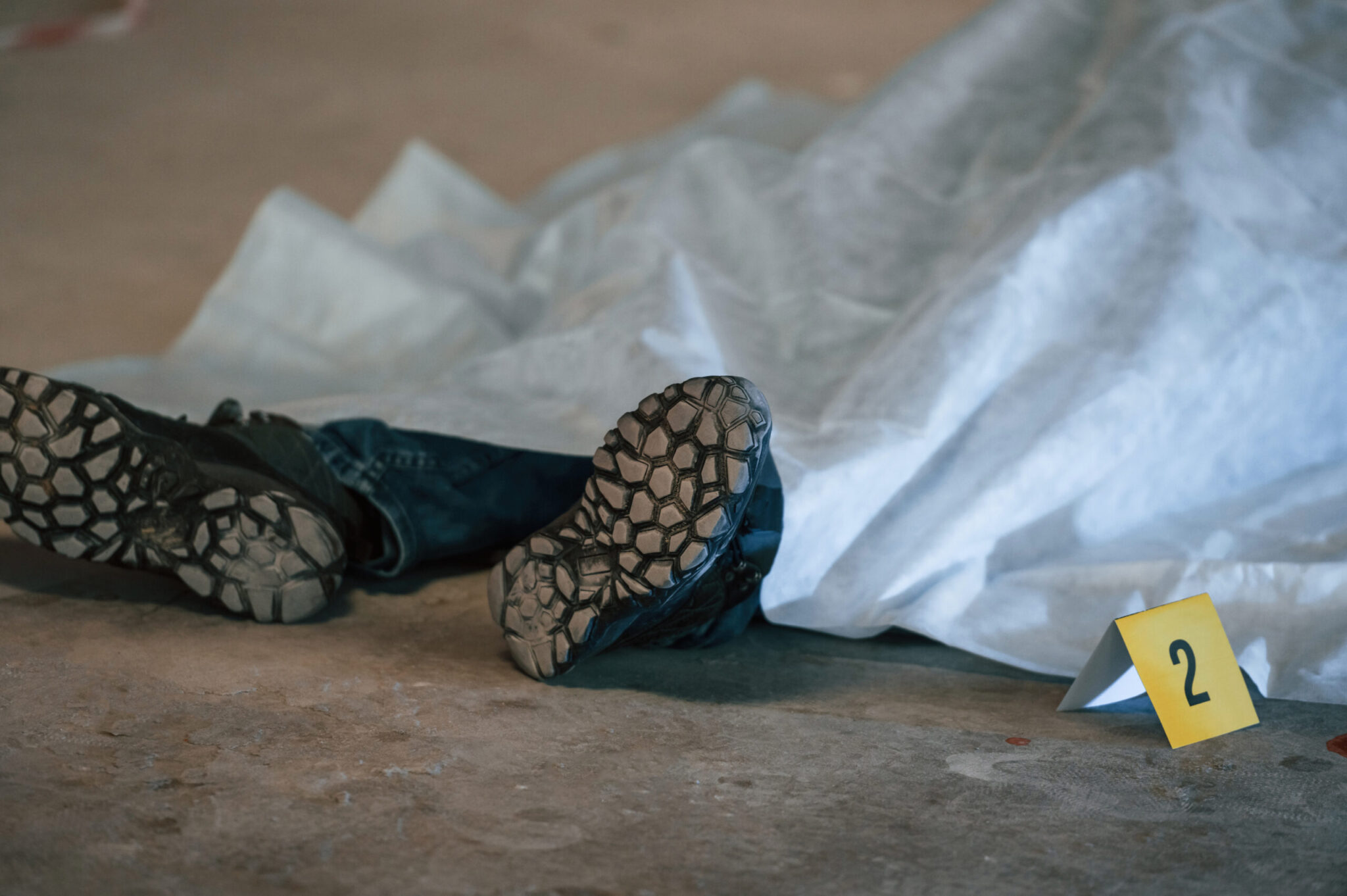 Δολοφονία-μυστήριο σε έπαυλη στο Λος Άντζελες: Κληρονόμος εκατομμυρίων ο τρανς δράστης και εραστής του θύματος