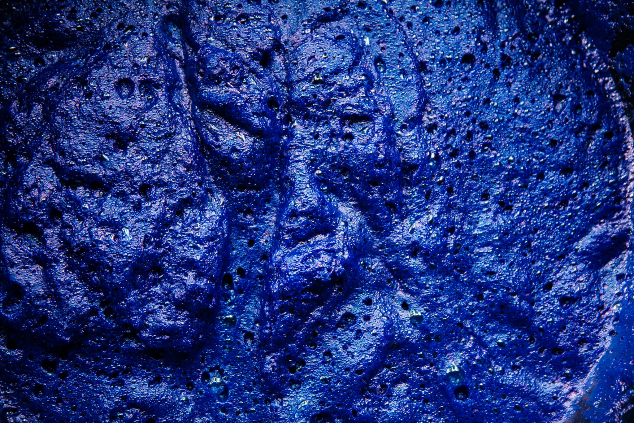 Η παράξενη μπλε λάσπη που φιλοξενεί ακραίες μορφές ζωής στα βάθη του Ειρηνικού