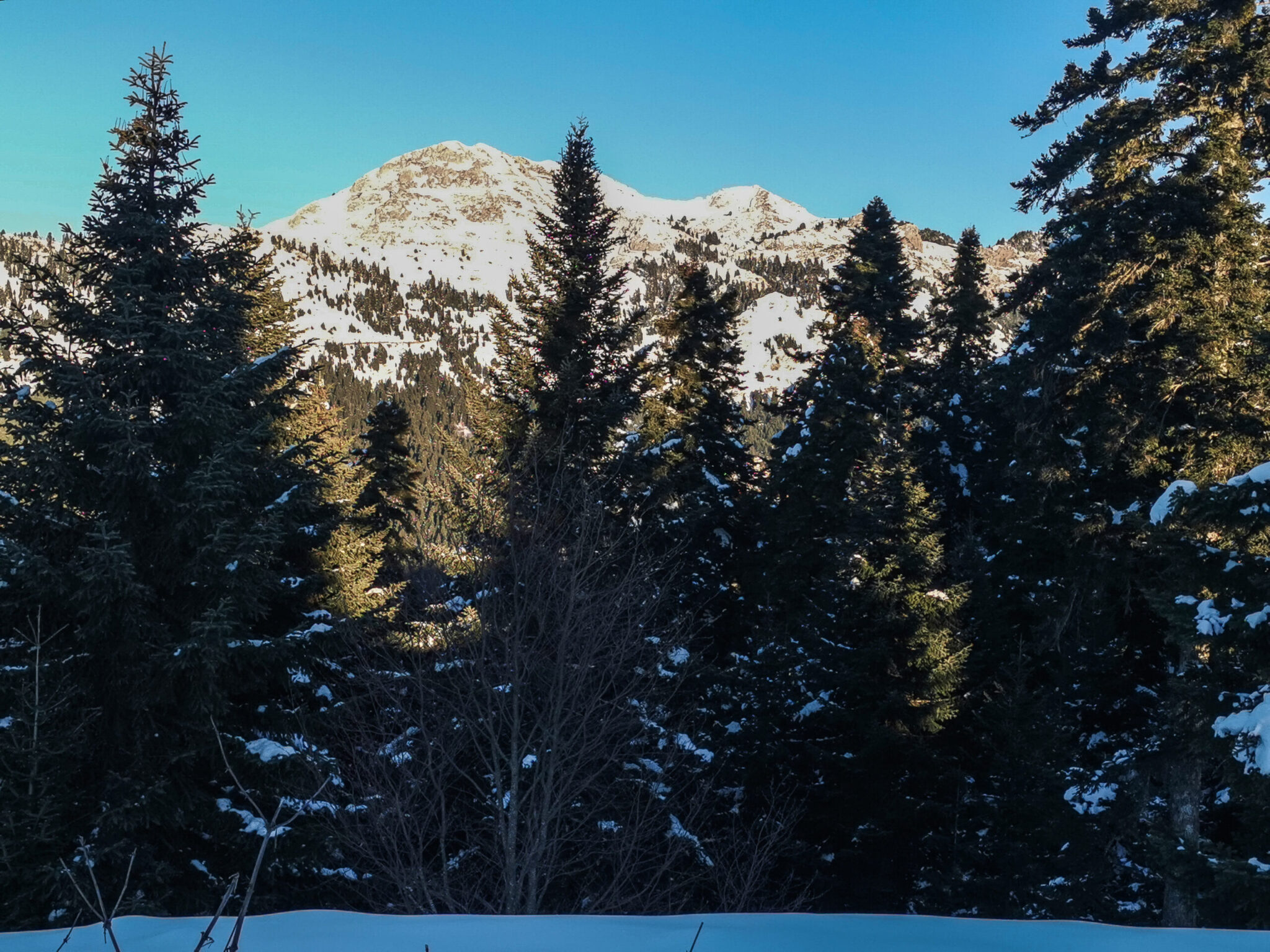 Πρώτο χιόνι στα ορεινά – Λευκό σκηνικό στα χιονοδρομικά κέντρα Ηπείρου και Μακεδονίας (βίντεο)