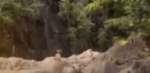 Ταϊλάνδη: Ισραηλινοί τουρίστες έκαναν σεξ σε καταρράκτη-θέρετρο σε δημόσια θέα και συνελήφθησαν (βίντεο)