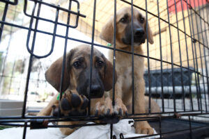 Φωτογραφία αρχείου/ Eurokinissi