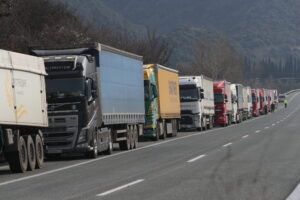 ΑΚΙΝΗΤΟΠΟΙΗΜΕΝΕΣ ΝΤΑΛΙΚΕΣ ΣΤΟΝ ΠΡΟΜΑΧΩΝΑ ΣΕΡΡΩΝ (ΒΑΣΙΛΗΣ ΒΕΡΒΕΡΙΔΗΣ/ΜΟΤΙΟΝΤΕΑΜ)