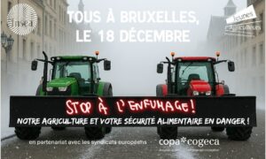 Με σύνθημα «Φτάνει πια με τα προσχήματα – η ευρωπαϊκή γεωργία και η επισιτιστική ασφάλεια βρίσκονται σε κίνδυνο», οι αγρότες από τα 27 κράτη μέλη με τα τρακτέρ τους «εισβάλλουν» στις Βρυξέλλες στις 18 Δεκεμβρίου πηγή x copa copega