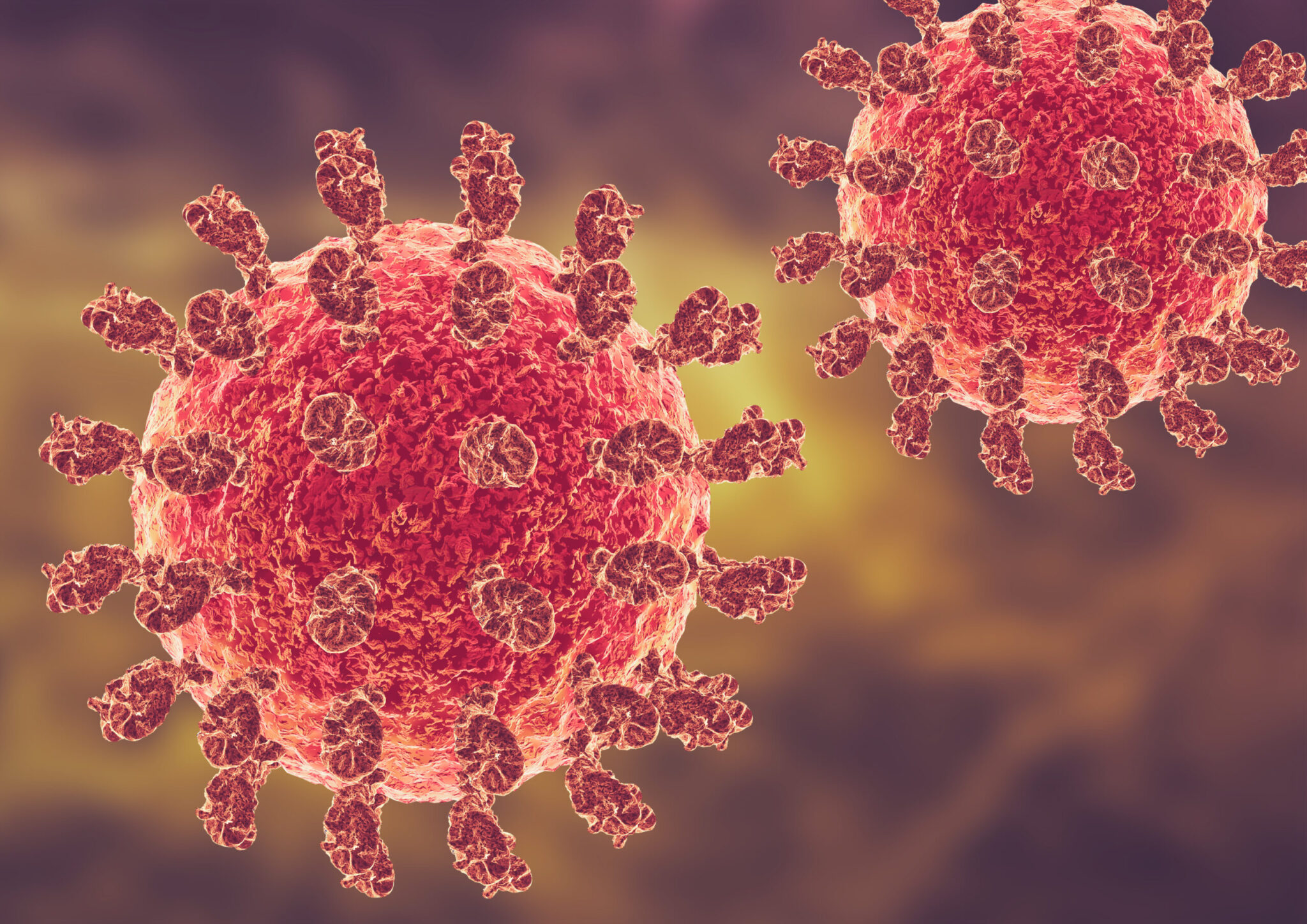 Συναγερμός στην Ινδία: 5 υγειονομικοί μολύνθηκαν από τον θανατηφόρο ιό Nipah, 100 άτομα βρίσκονται σε καραντίνα – Εκτακτα μέτρα σε ισχύ (βίντεο)